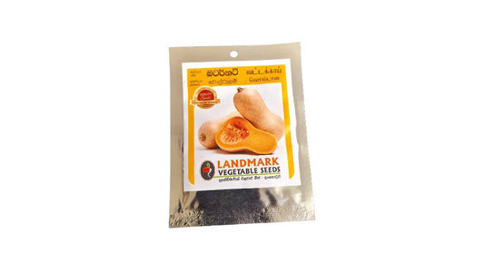 Lakpura Butternusssamen