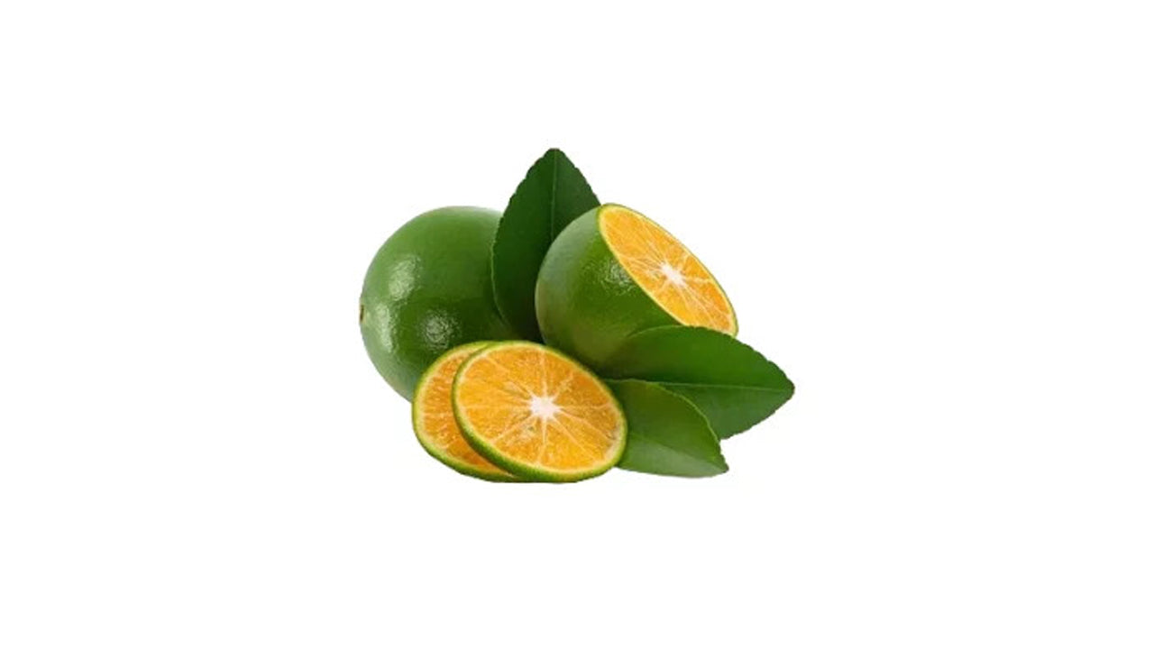 Lakpura Calamansi (Thai Dehi) Pflanze