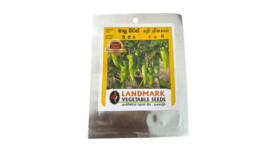 Lakpura CA8 Paprikasamen