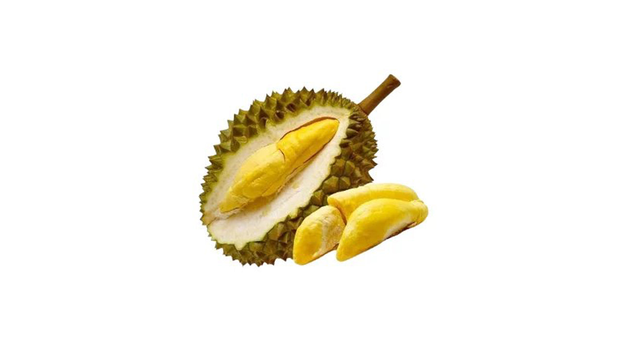 Lakpura Durian (Kasun) Schichtpflanze