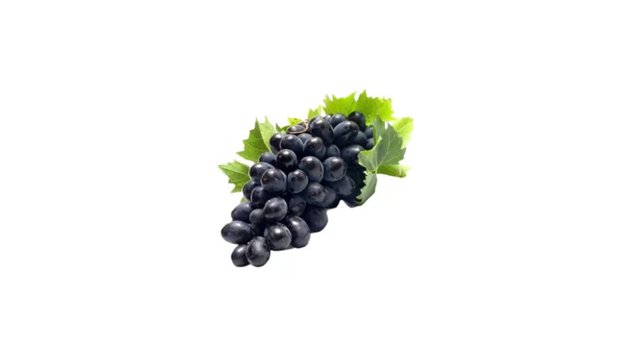 Lakpura Israel schwarze Traubenpflanze