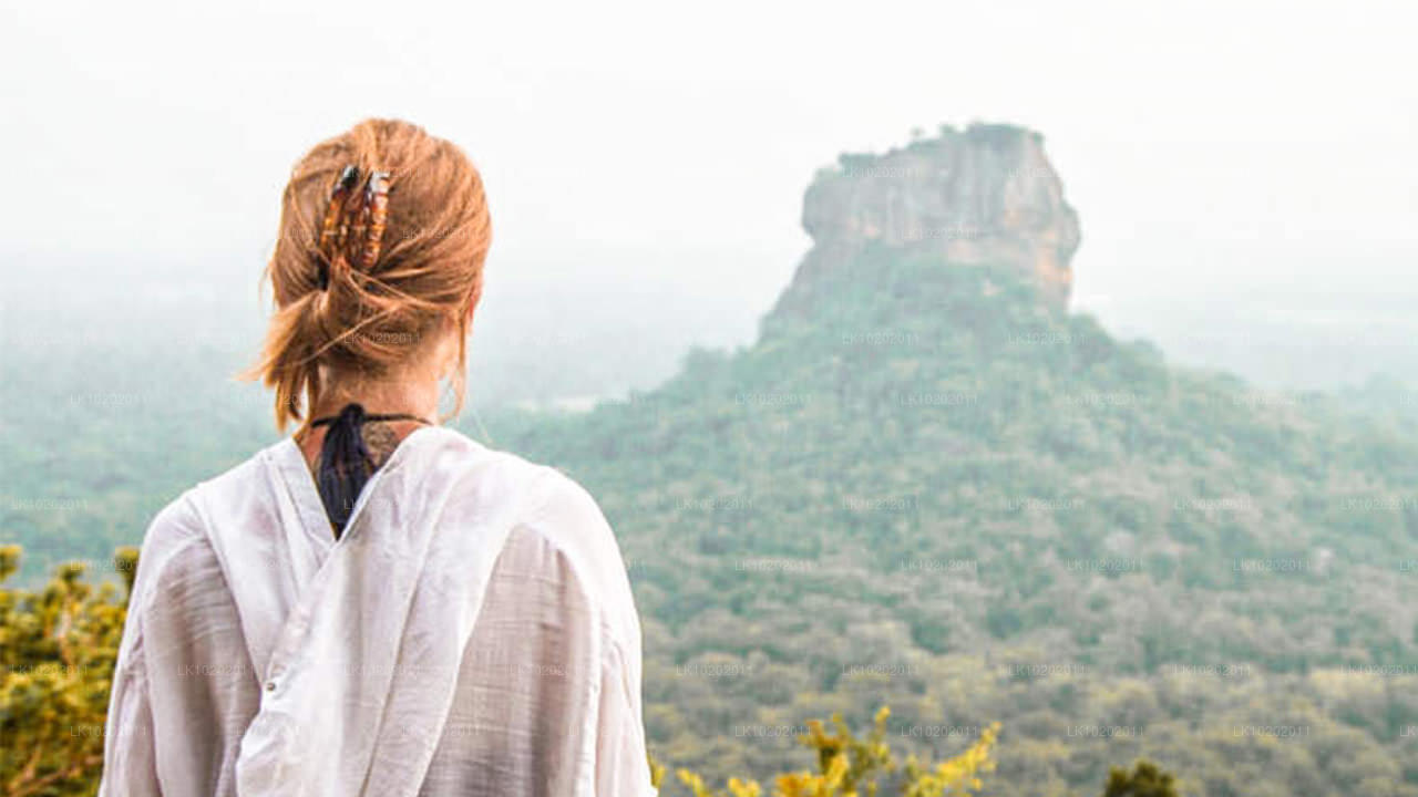 Sigirya und Minneriya ab Colombo (2 Tage)