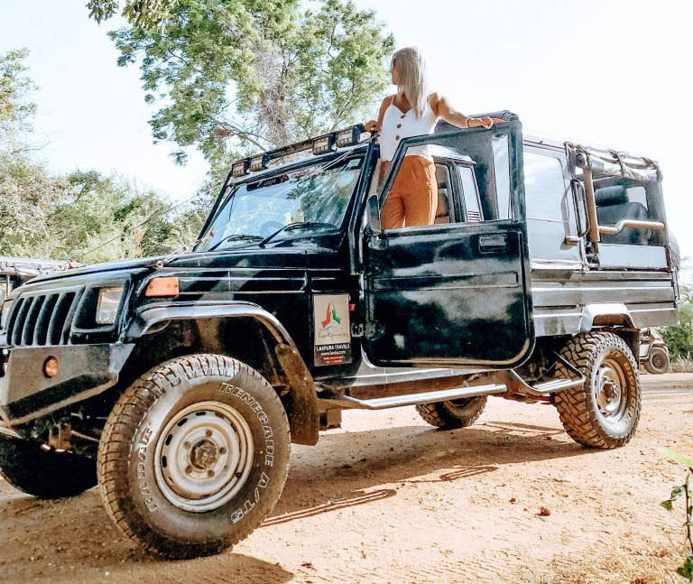 Tempel und Wildnis ab Colombo (2 Tage)