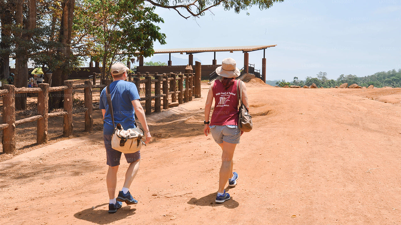 Kultur der Hügel ab Colombo (2 Tage)