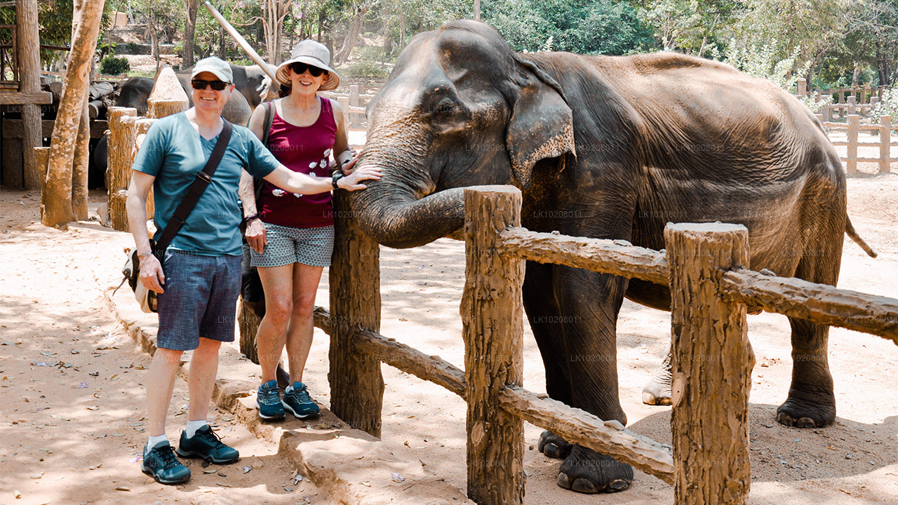 Kultur der Hügel ab Colombo (2 Tage)
