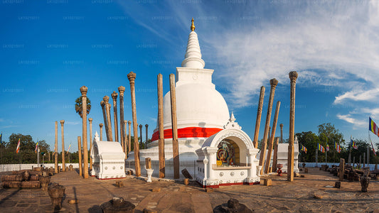 Ab Galle: Tour zu Wilden Wundern und Heiligen Räumen (2 Tage)