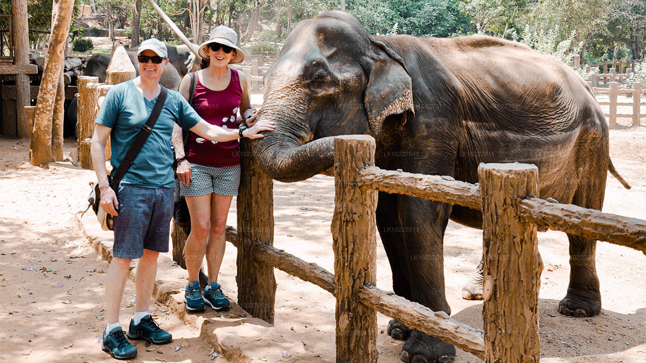 Kultur der Hügel ab Negombo (2 Tage)