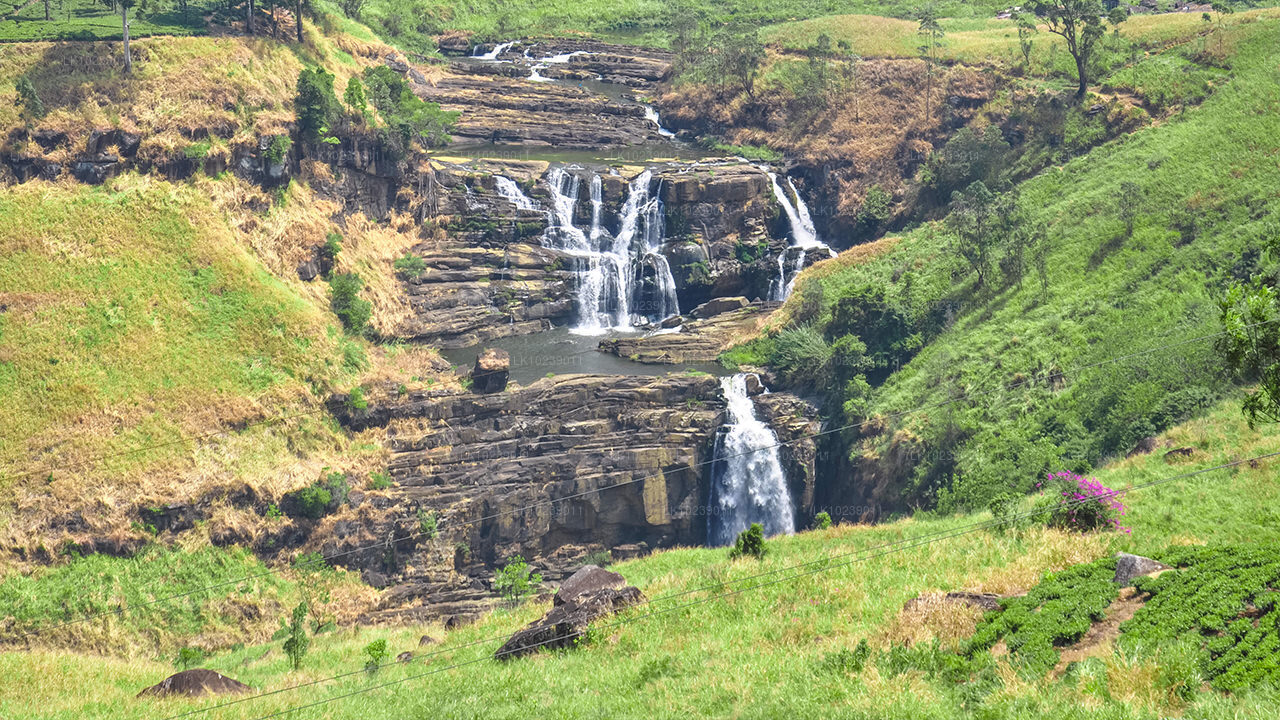 Nebelige Bergpfade ab Galle (2 Tage)