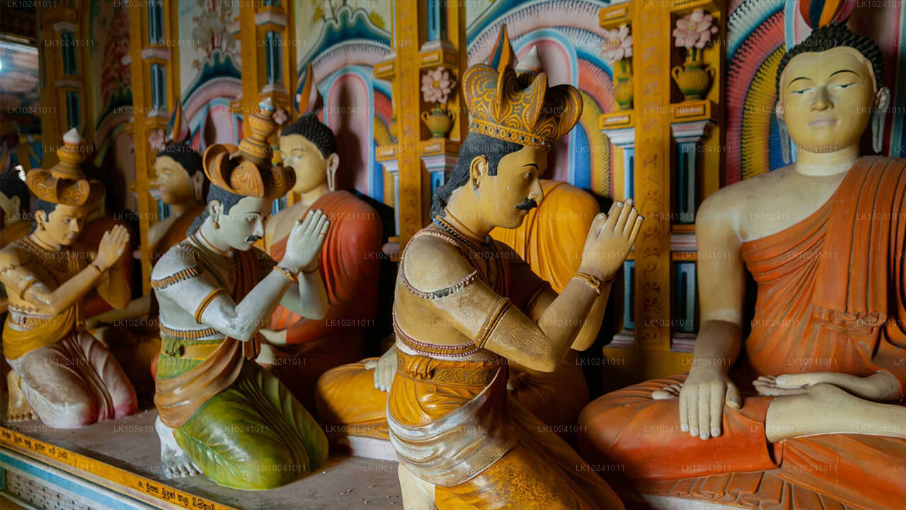 Udawalawe ab Hikkaduwa (2 Tage)