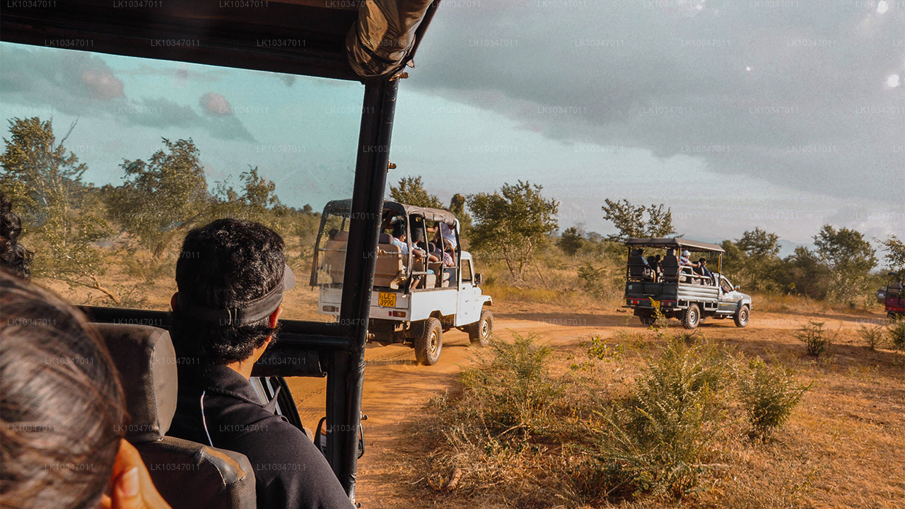 Heilige Stadt Anuradhapura ab Colombo (3 Tage)