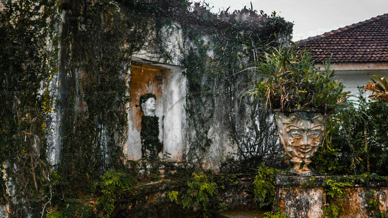 Gemütliches Sri Lanka (3 Tage)