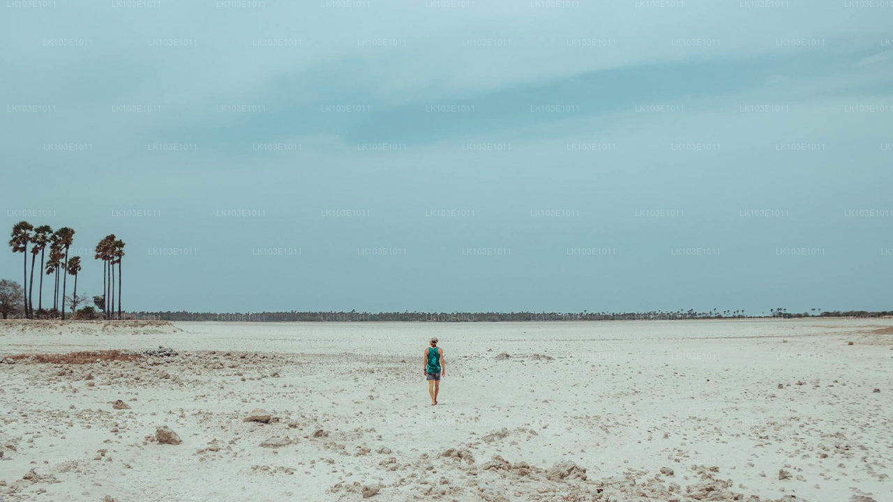 Erkunden Sie Jaffna-Tour (3 Tage)