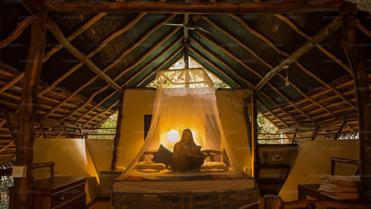 Öko-Touren durch Sri Lanka (3 Tage)