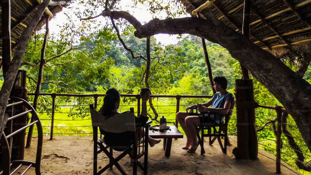 Öko-Touren durch Sri Lanka (3 Tage)