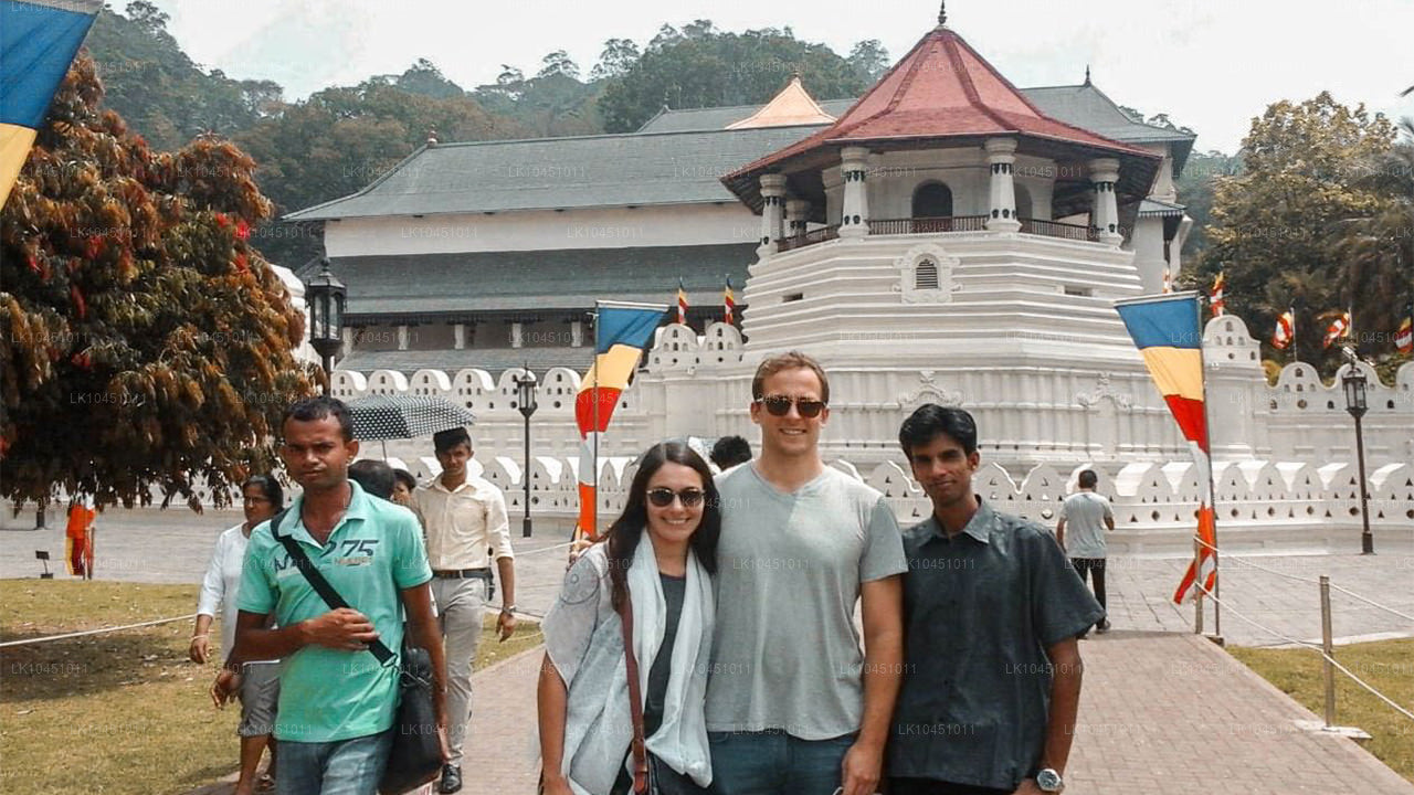 Rund um Lanka von Colombo aus (4 Tage)