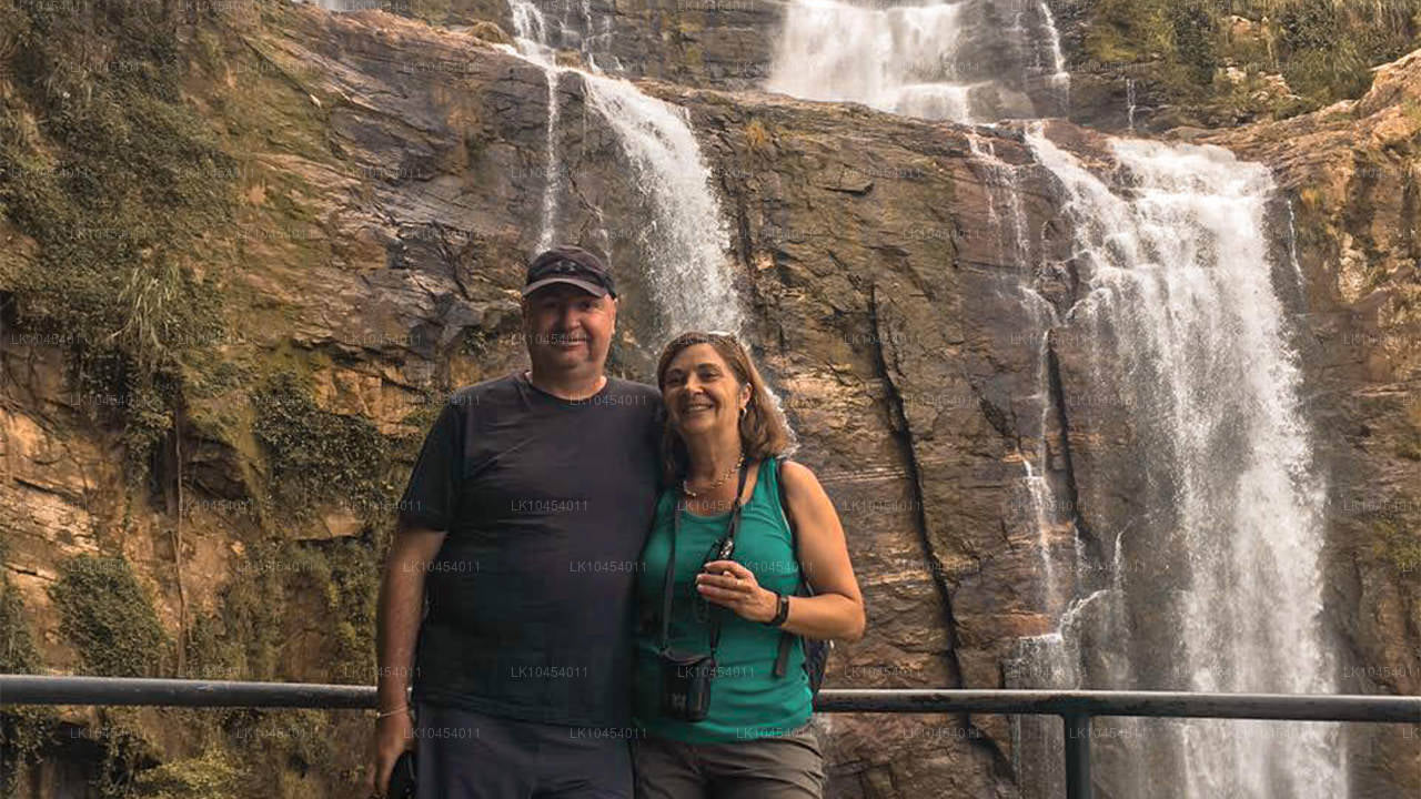 Abenteuer Horton Plains (4 Tage)