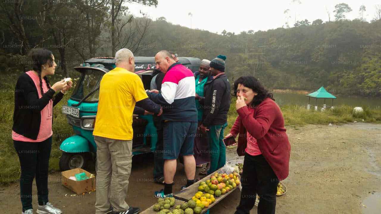 Abenteuer Horton Plains (4 Tage)