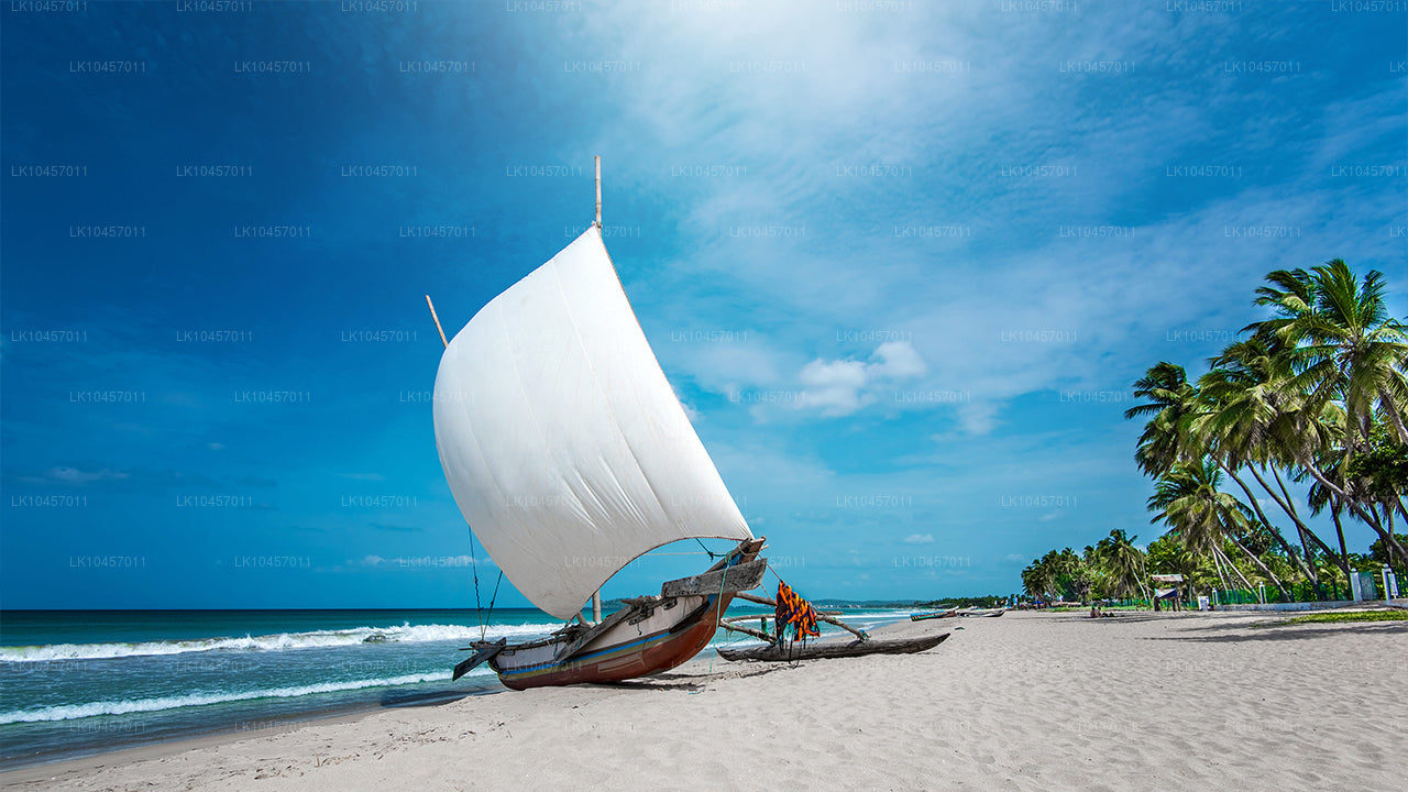 Strand und Stadt (4 Tage)