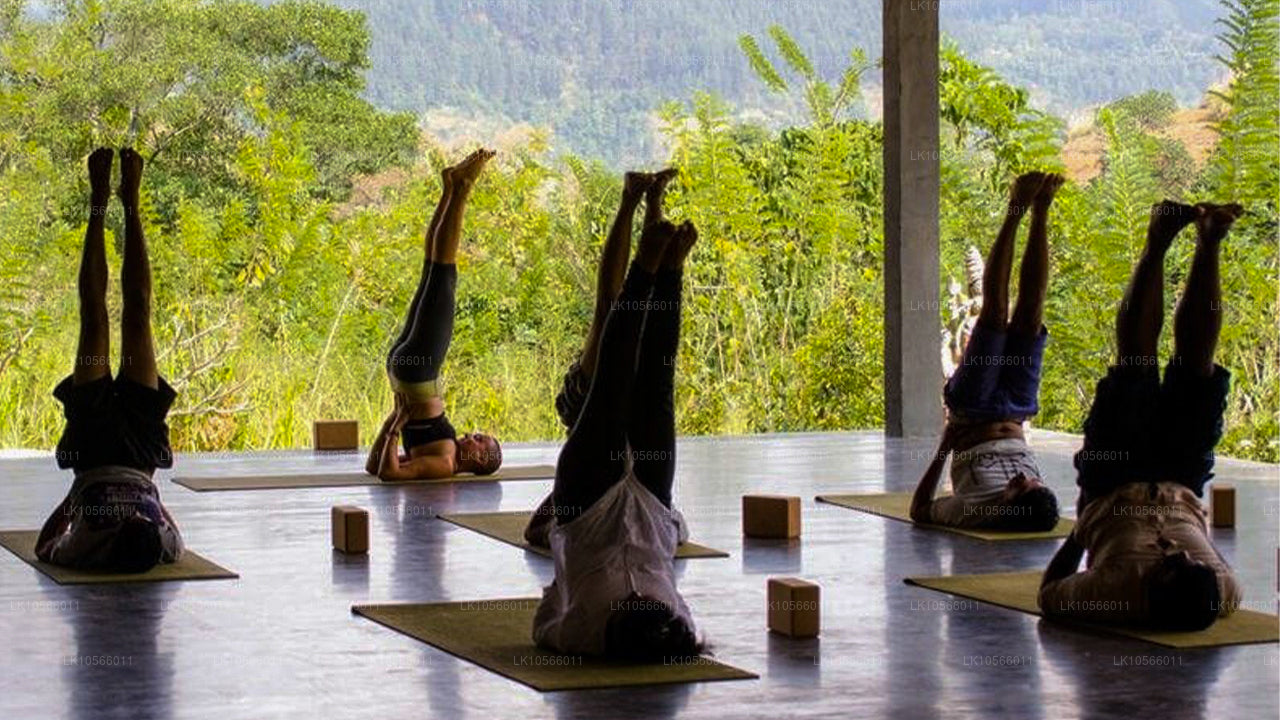 Meditations- und Yogatour (5 Tage)