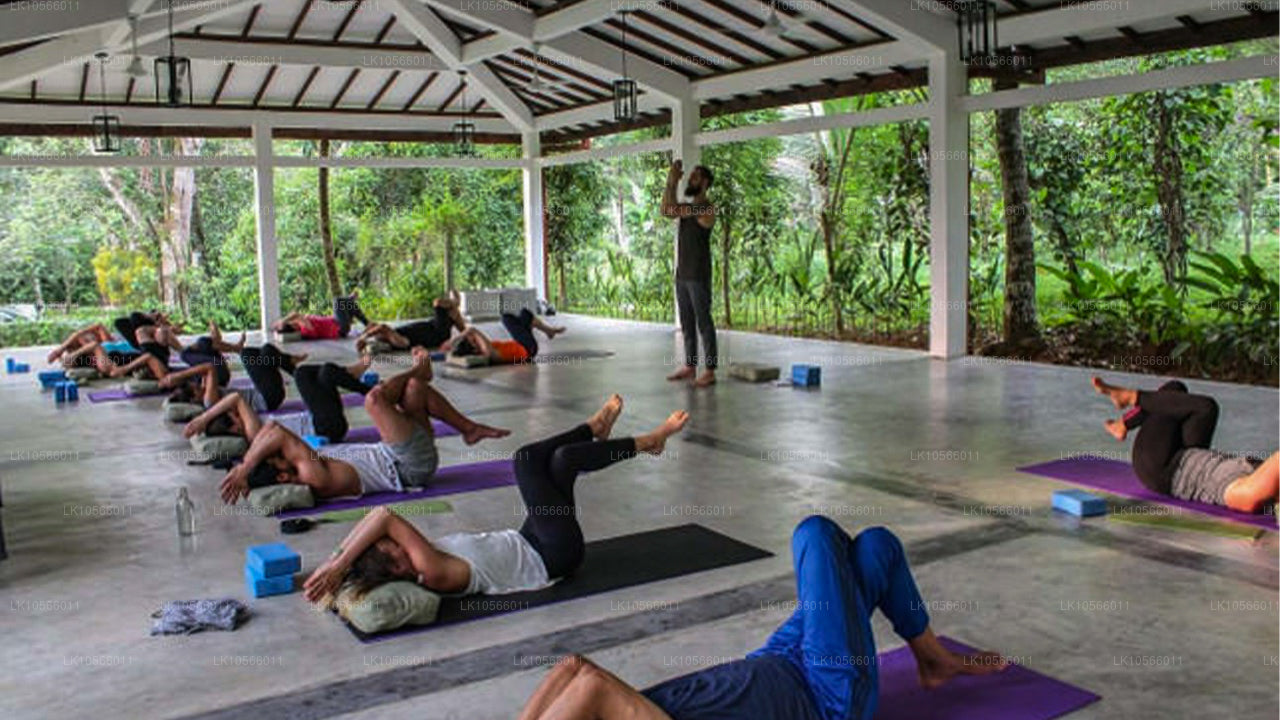 Meditations- und Yogatour (5 Tage)