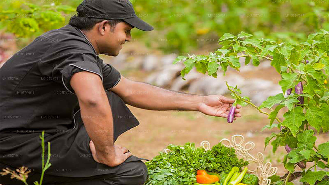 Agro-Tour durch Sri Lanka (5 Tage)