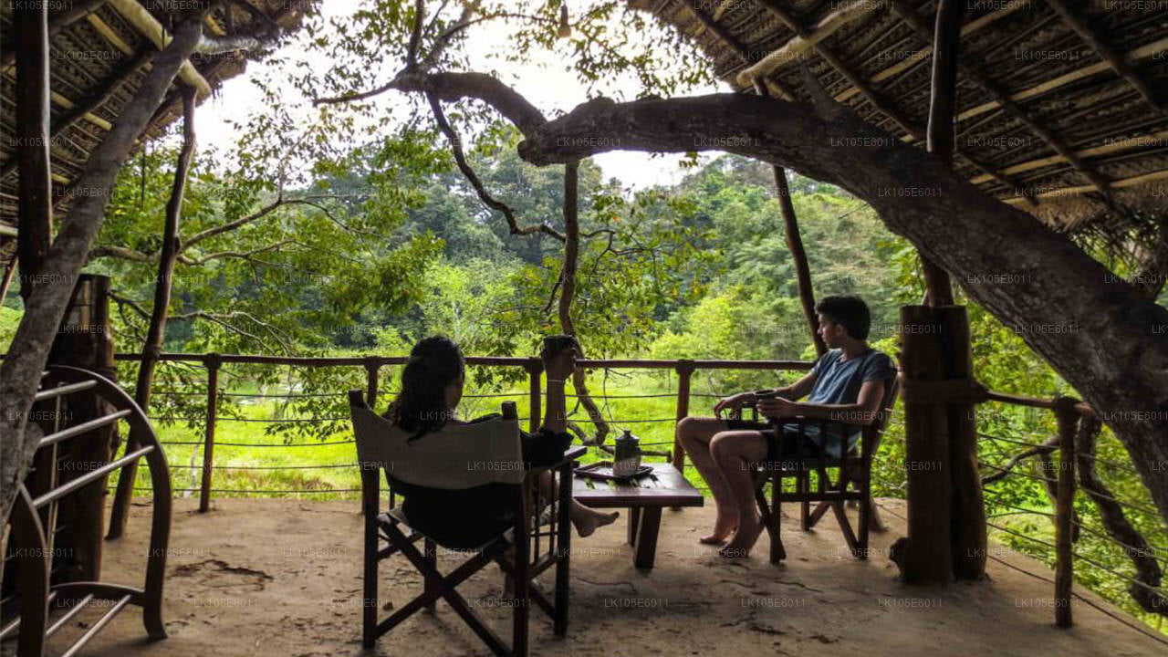 Öko-Touren durch Sri Lanka (6 Tage)
