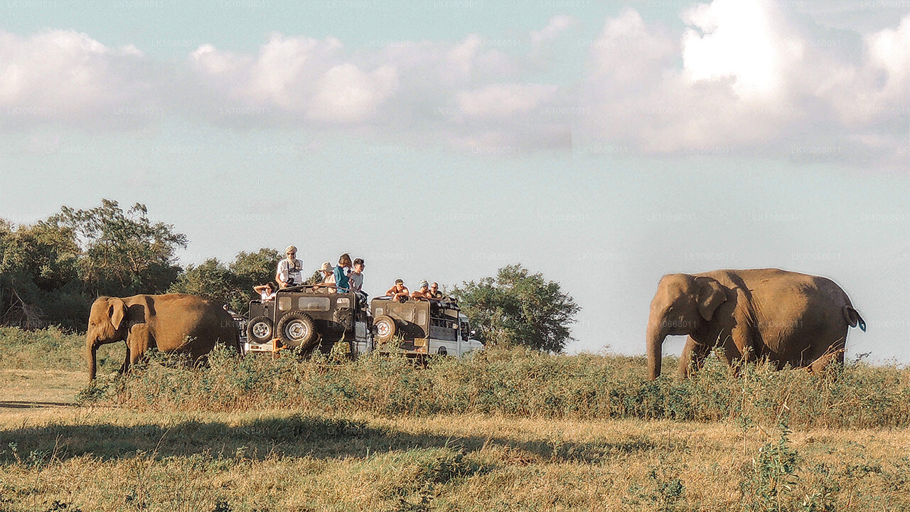 Herrliches Sri Lanka (6 Tage)