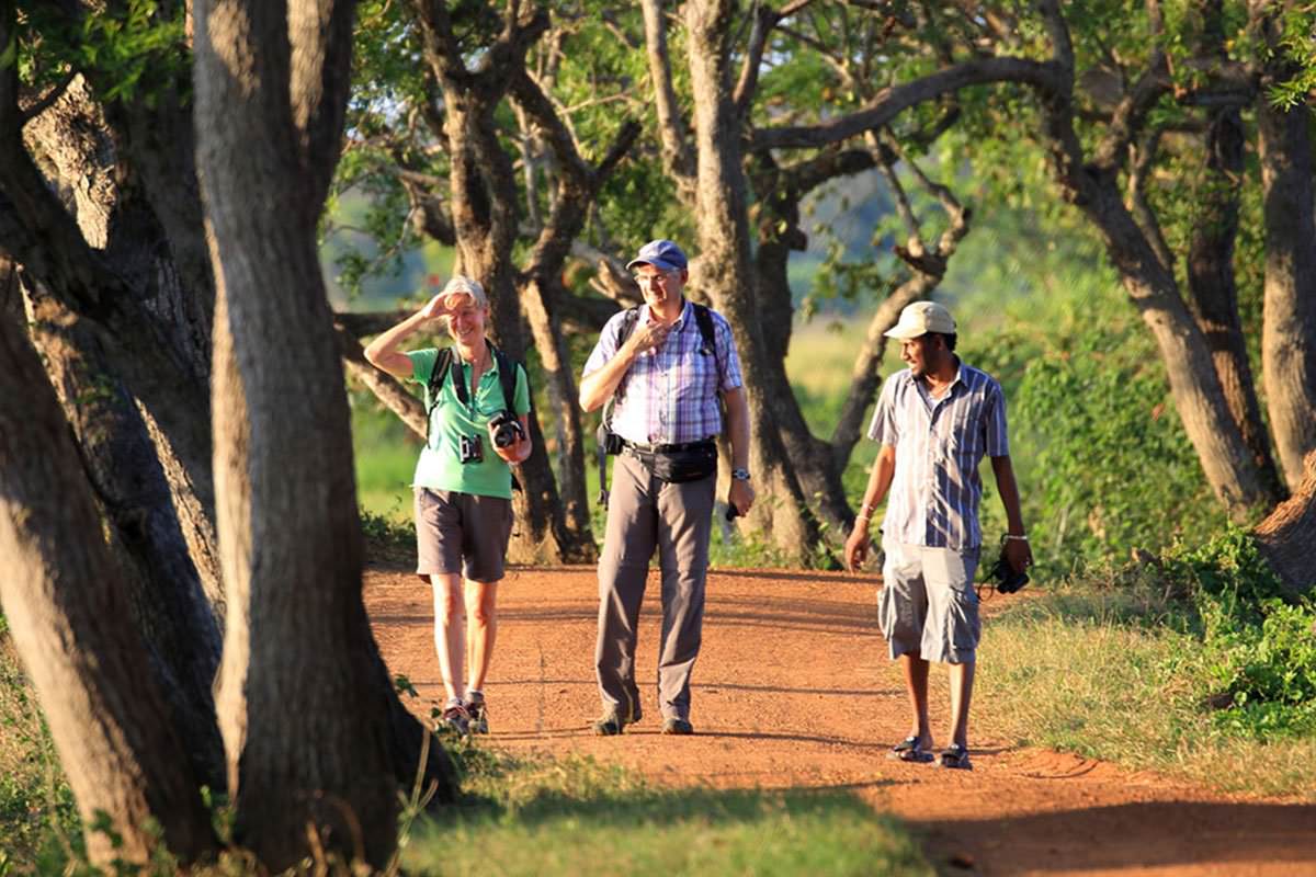 Wildtiertour zu Vögeln und Säugetieren (6 Tage)