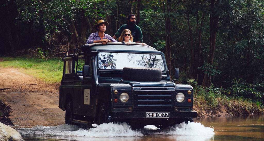 Wildtiertour zu Vögeln und Säugetieren (6 Tage)