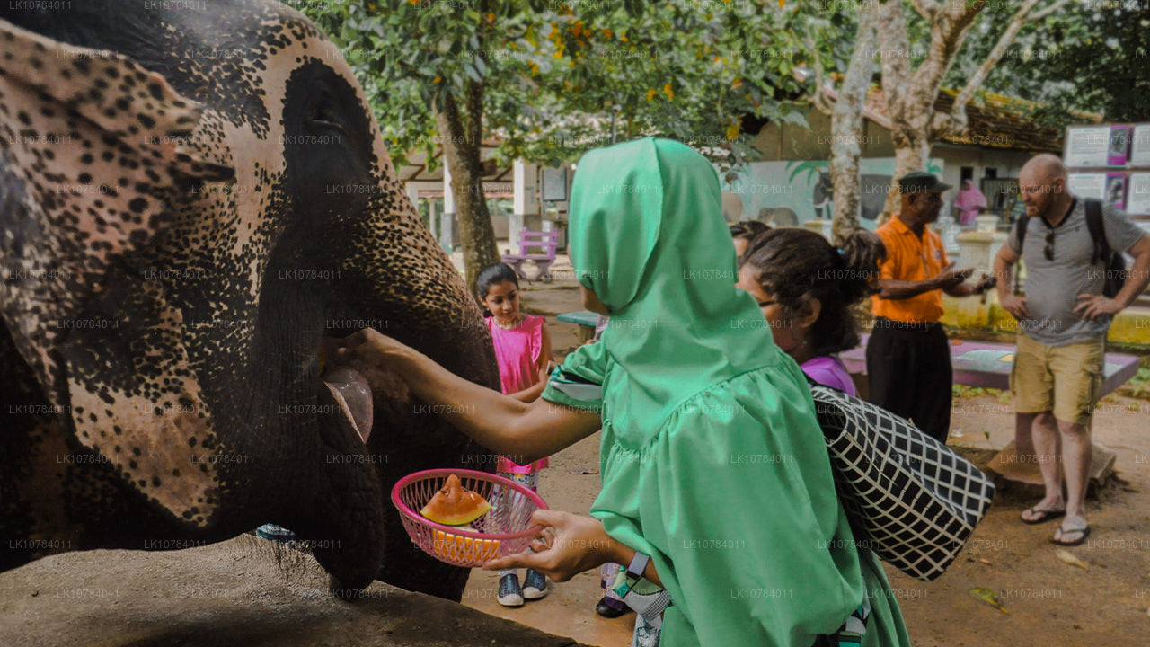 Halal-Tour (islamisch) nach Sri Lanka (7 Tage)