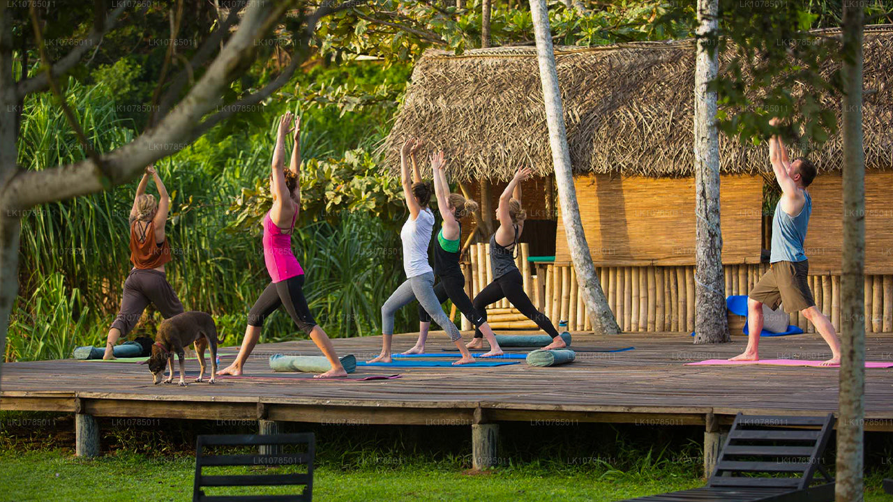 Ayurveda-Kurzurlaub in Wadduwa (7 Tage)
