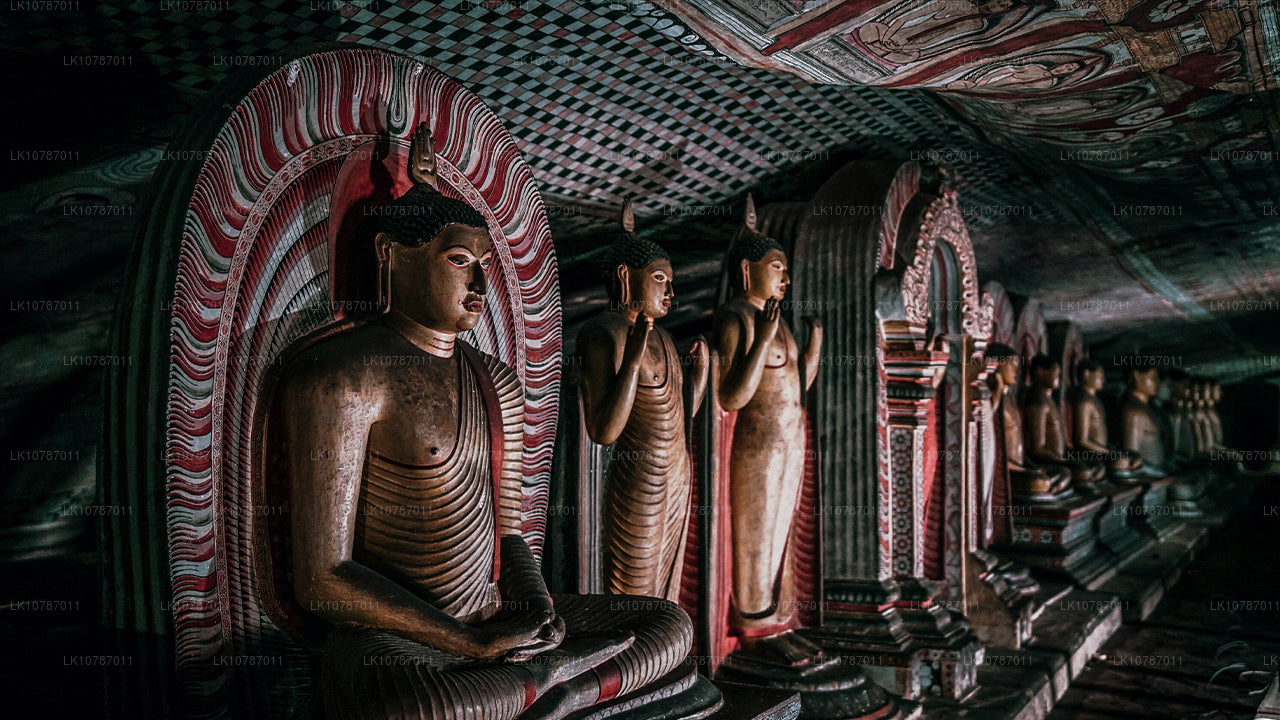 Uncharted Ceylon (7 Tage)