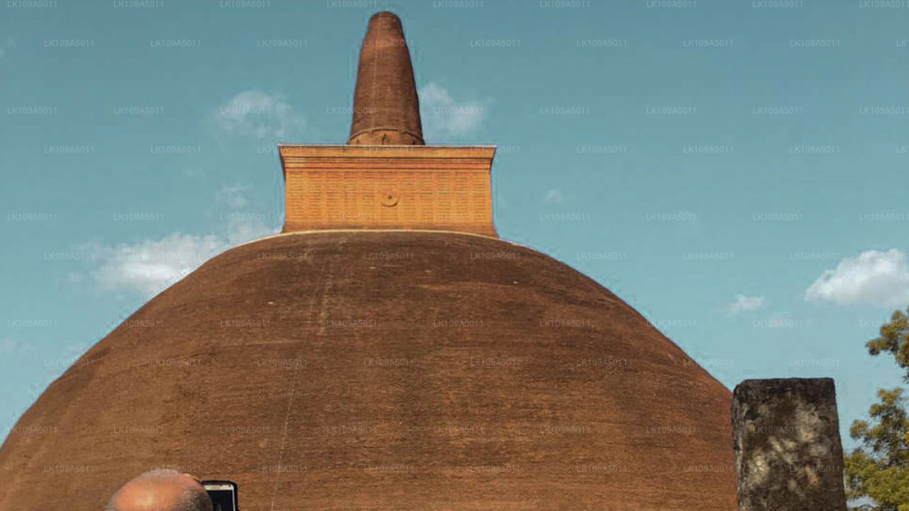 Buddhistische Pilgerreise (9 Tage)