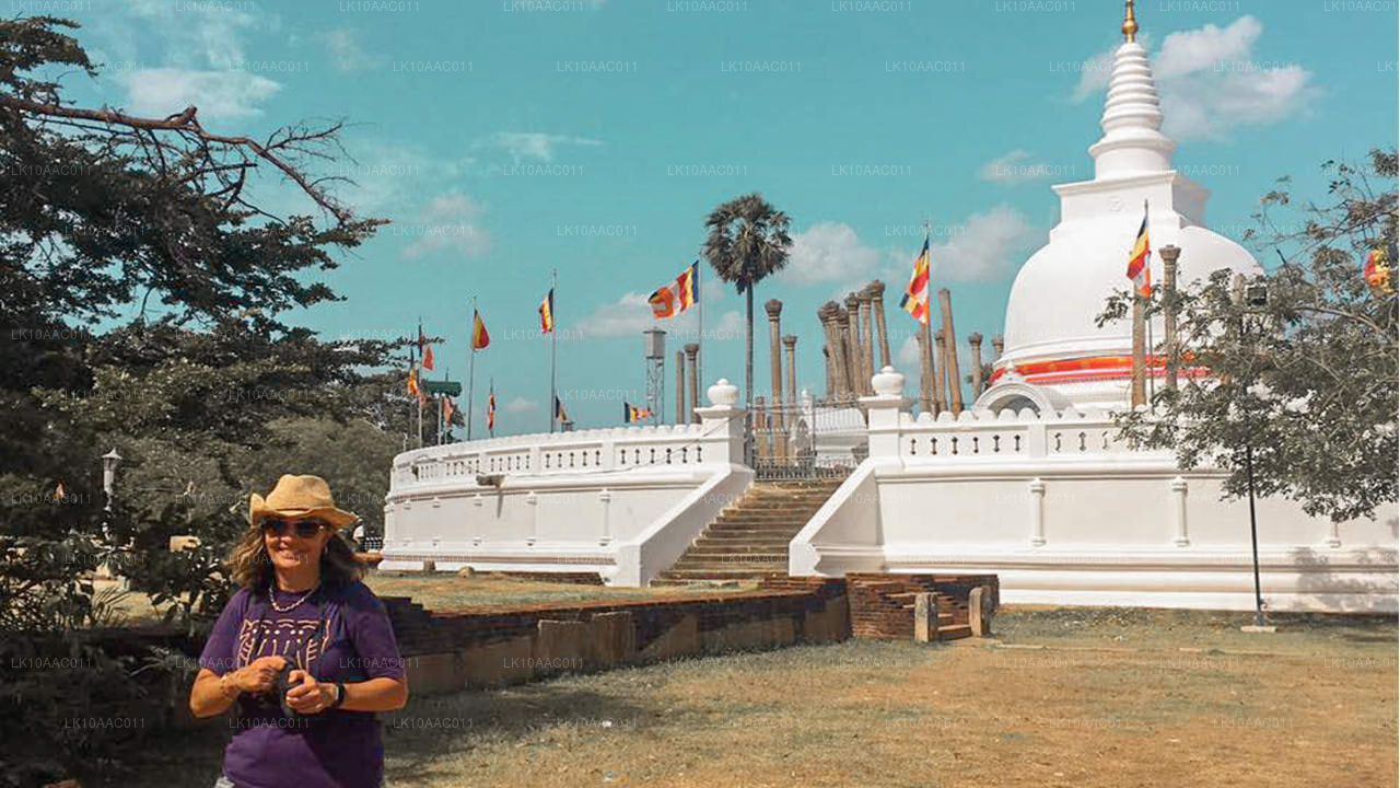 Königreiche von Ceylon (10 Tage)