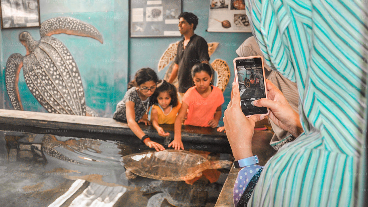 Die Tierwelt Sri Lankas (10 Tage)