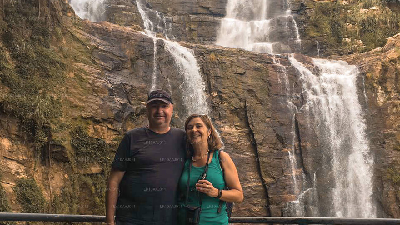 Ceylon-Teetour (10 Tage)