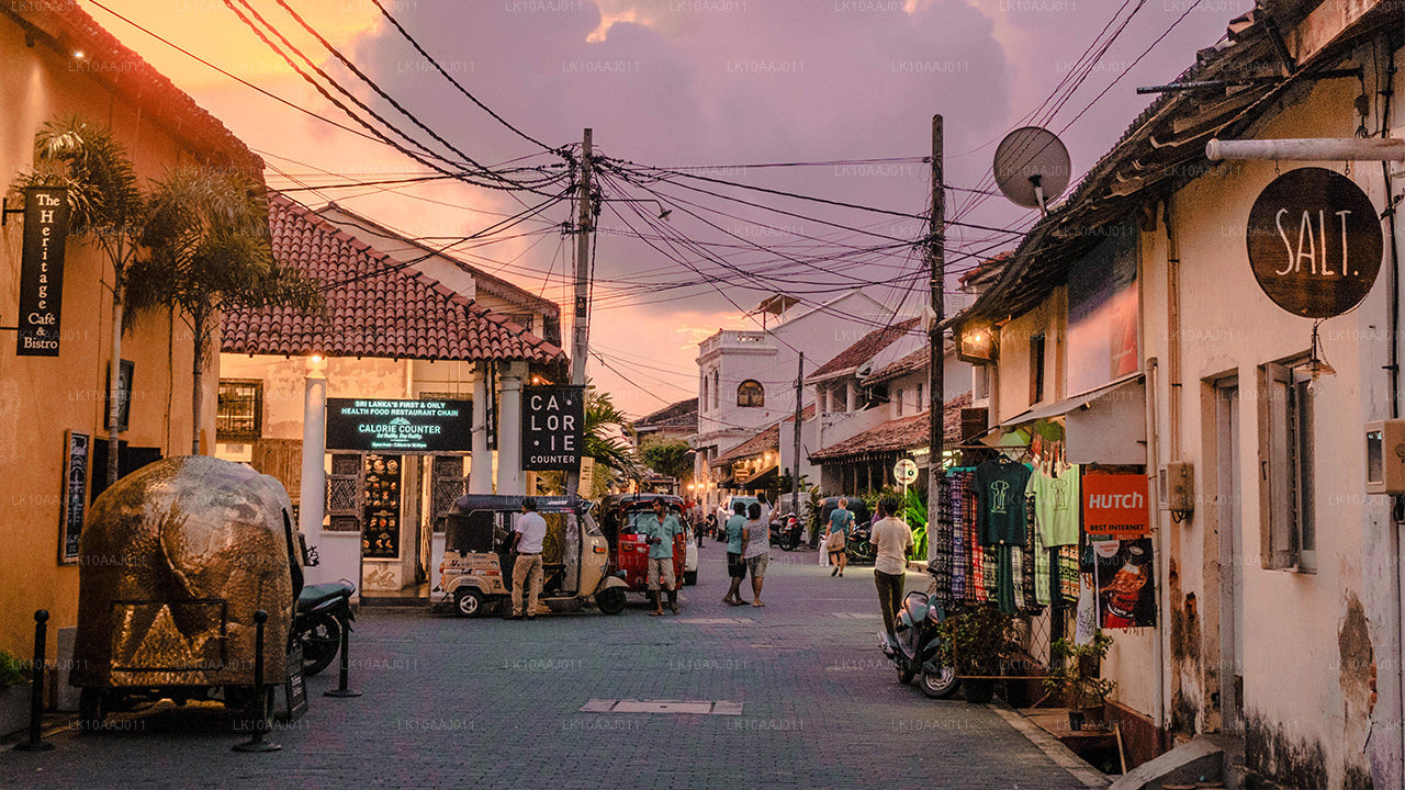 Ceylon-Teetour (10 Tage)