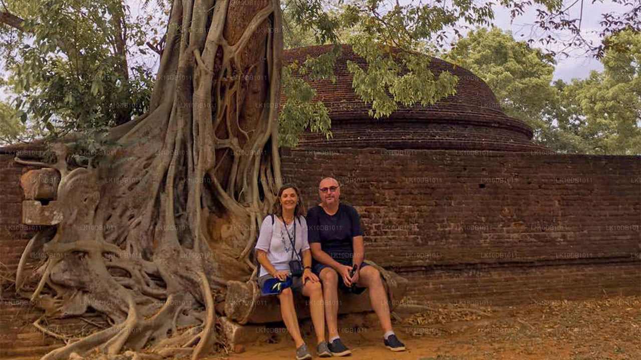 Herrliches Ceylon (13 Tage)