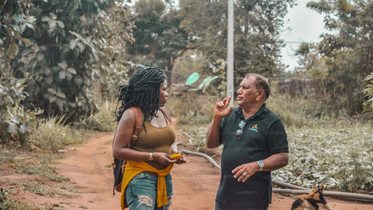 Wandertour rund um Ceylon (13 Tage)