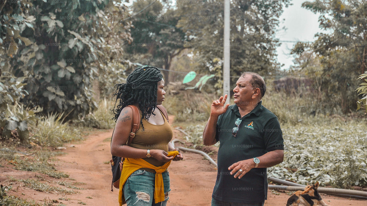 ПУТЕШЕСТВИЕ ВОКРУГ ЦЕЙЛОНА (13 Tage)