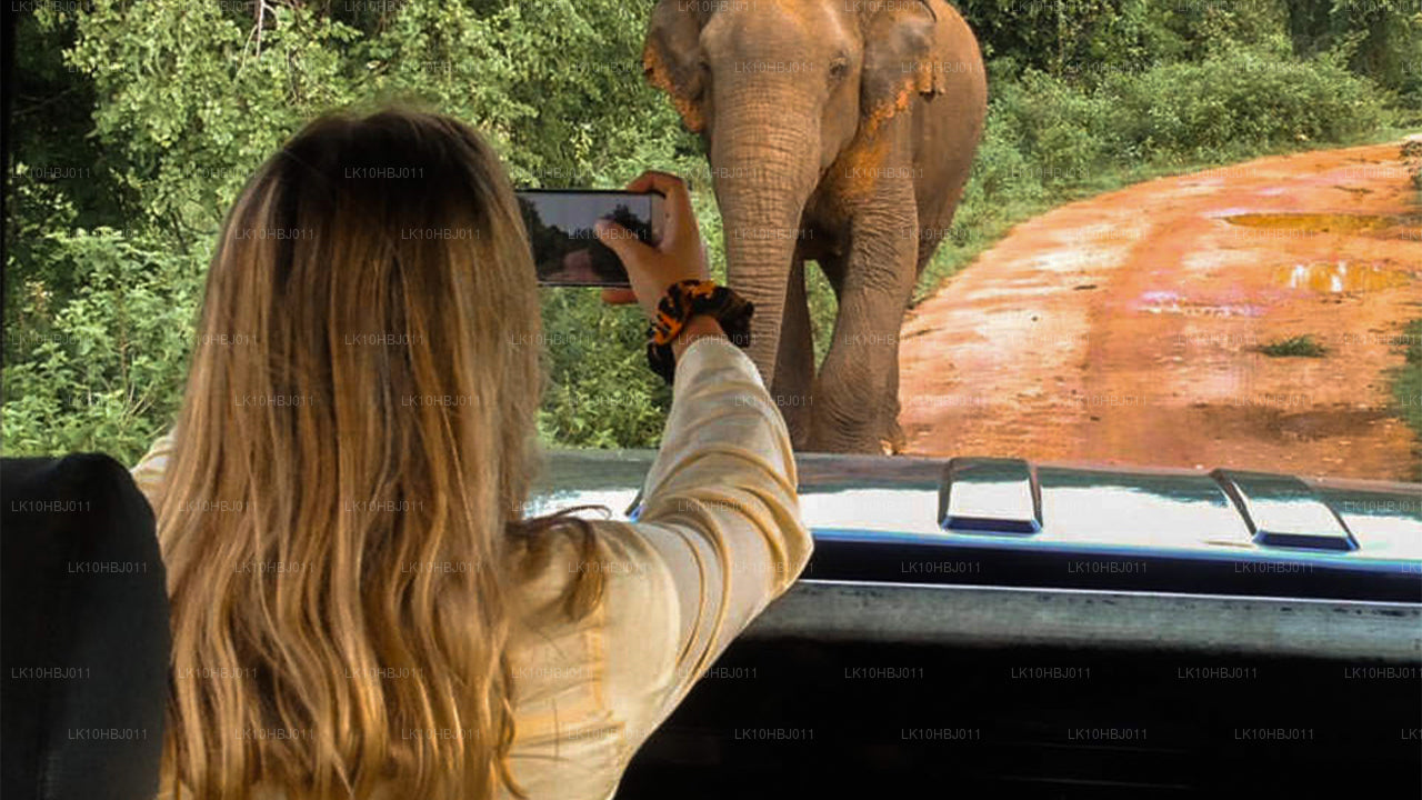 Ultimatives Sri Lanka (17 Tage)