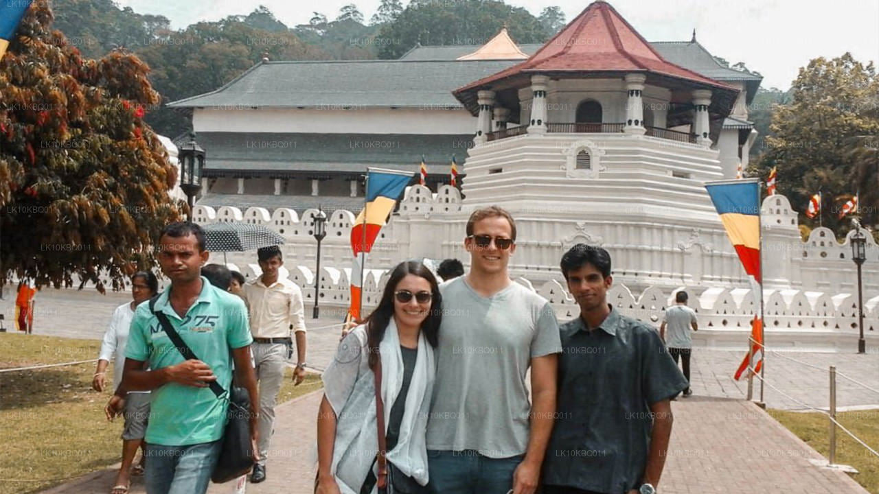 Klassisches Sri Lanka (20 Tage)