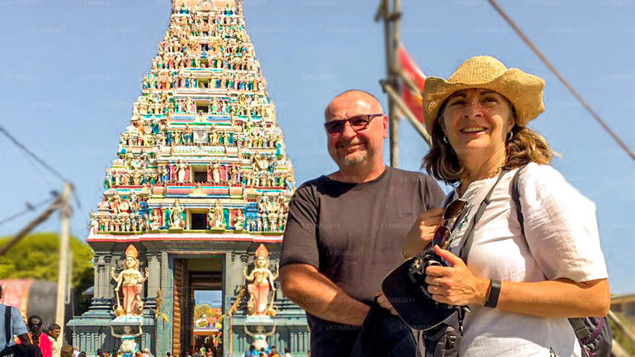 Der Glamour Sri Lankas (22 Tage)