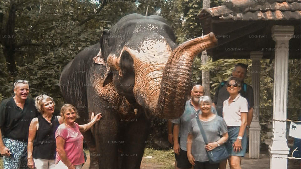 Tempel und Natur (22 Tage)