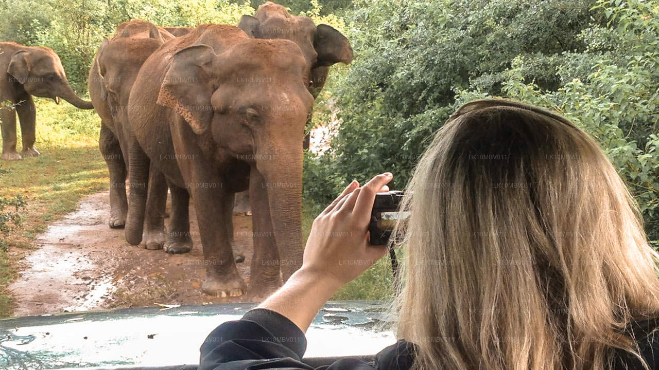 Tempel und Natur (22 Tage)