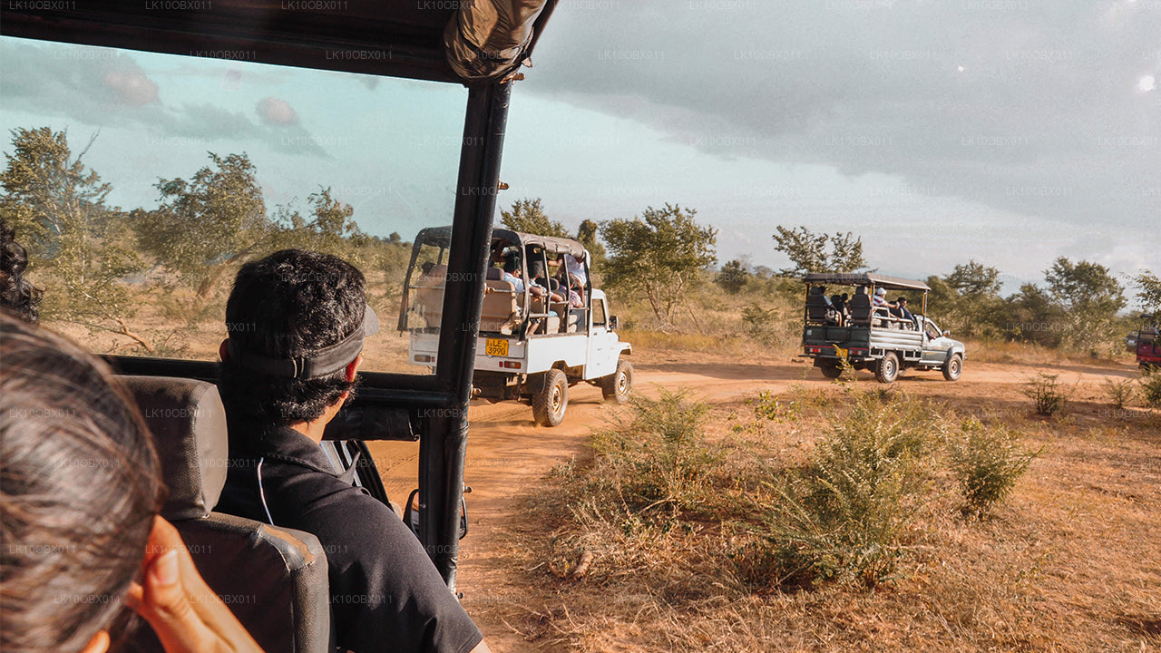 Fantastisches Sri Lanka (24 Tage)
