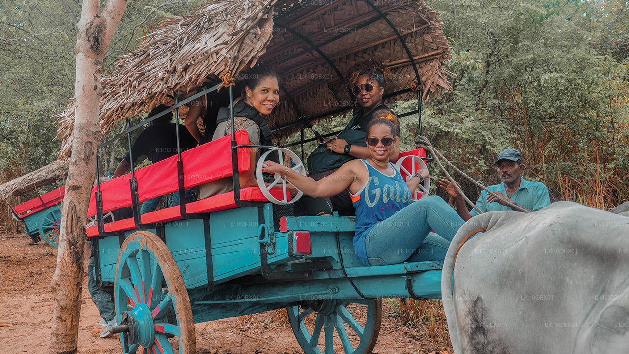 Fantastisches Sri Lanka (24 Tage)