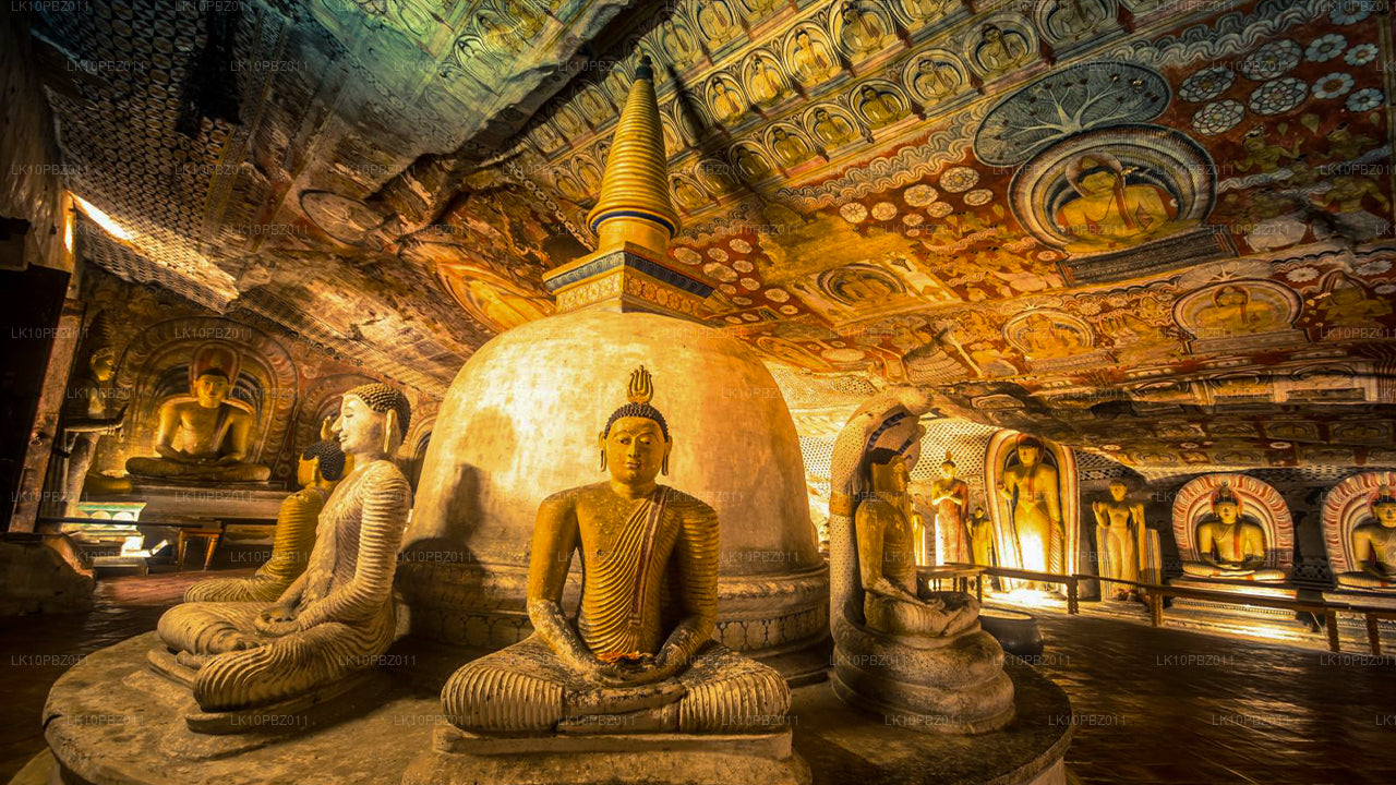 Fantastisches Sri Lanka (25 Tage)