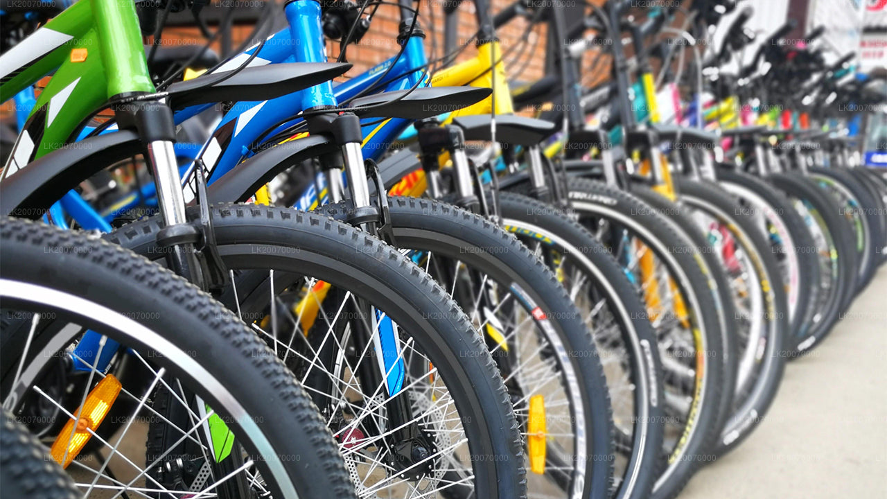 Mountainbike-Verleih ab Kandy