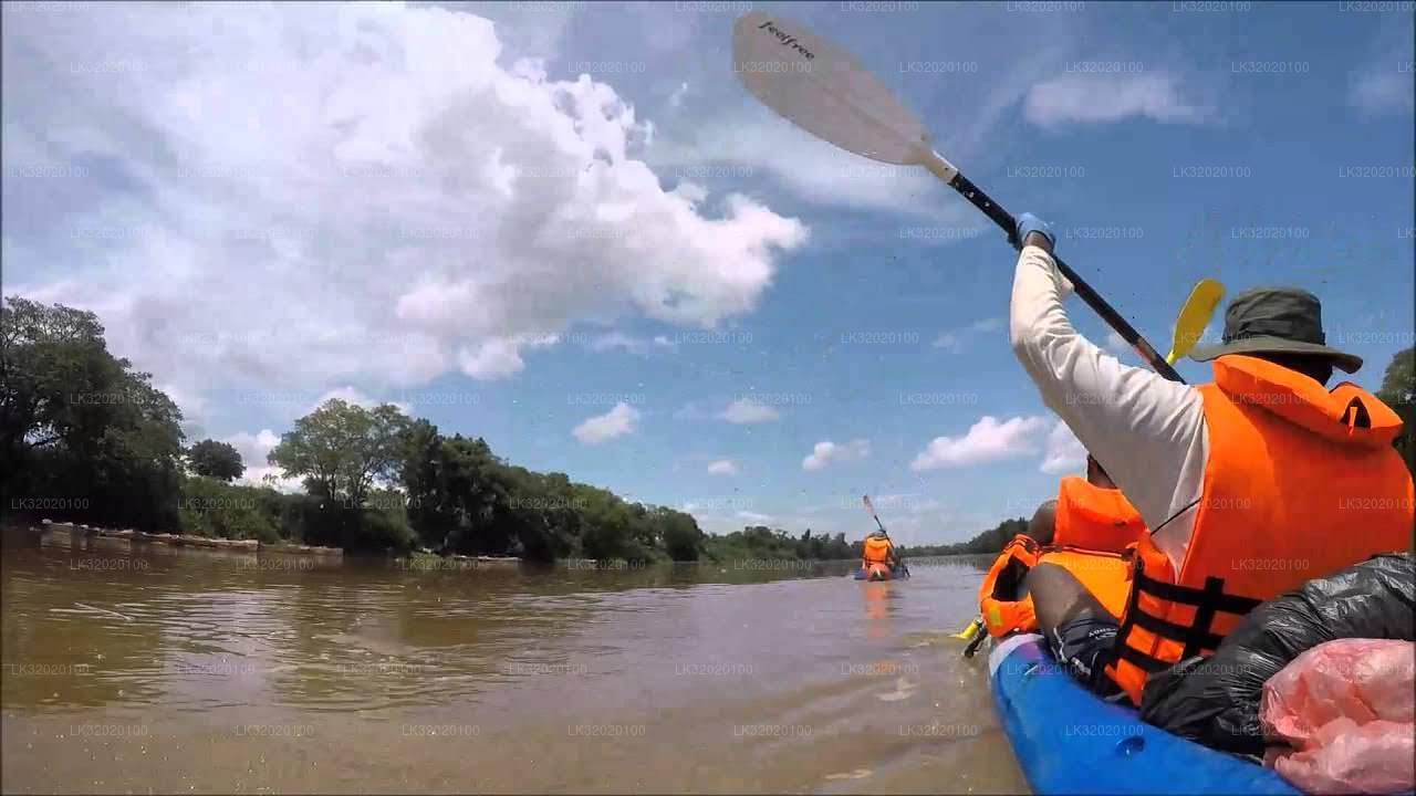 Kanufahren auf dem Mahaweli River von Kandy aus